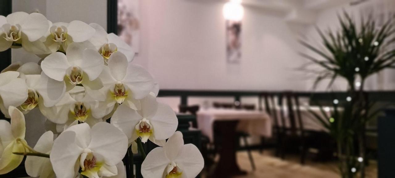 Hotel Lamm Штутгарт Екстер'єр фото